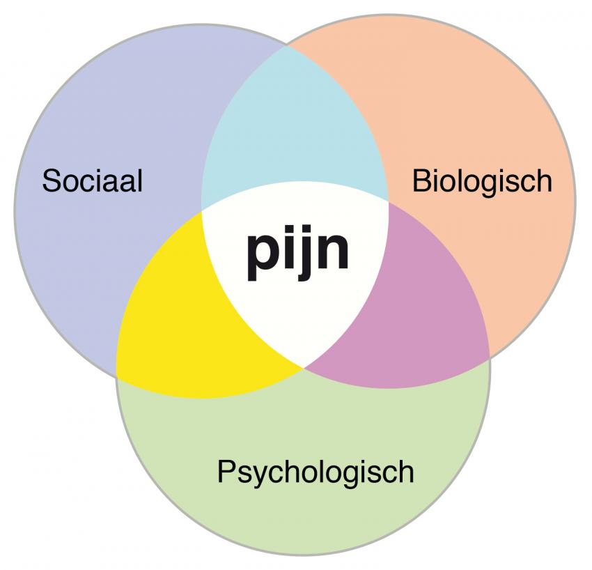 biopsychosociaal pijn model
